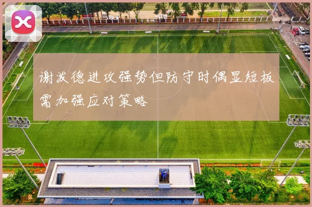 谢泼德进攻强势但防守时偶显短板需加强应对策略